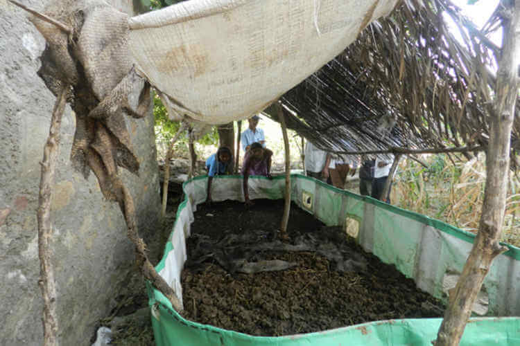 agriculture