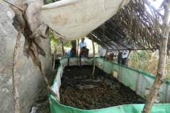 agriculture