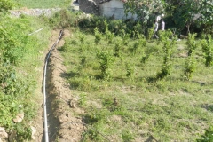 micro_irrigation